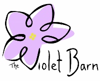 Trailing African Violet Robs Boolaroo - The Violet Barn - African Violets and More